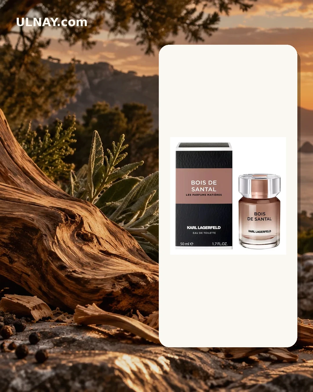 Bois de Santal — setting and bottle