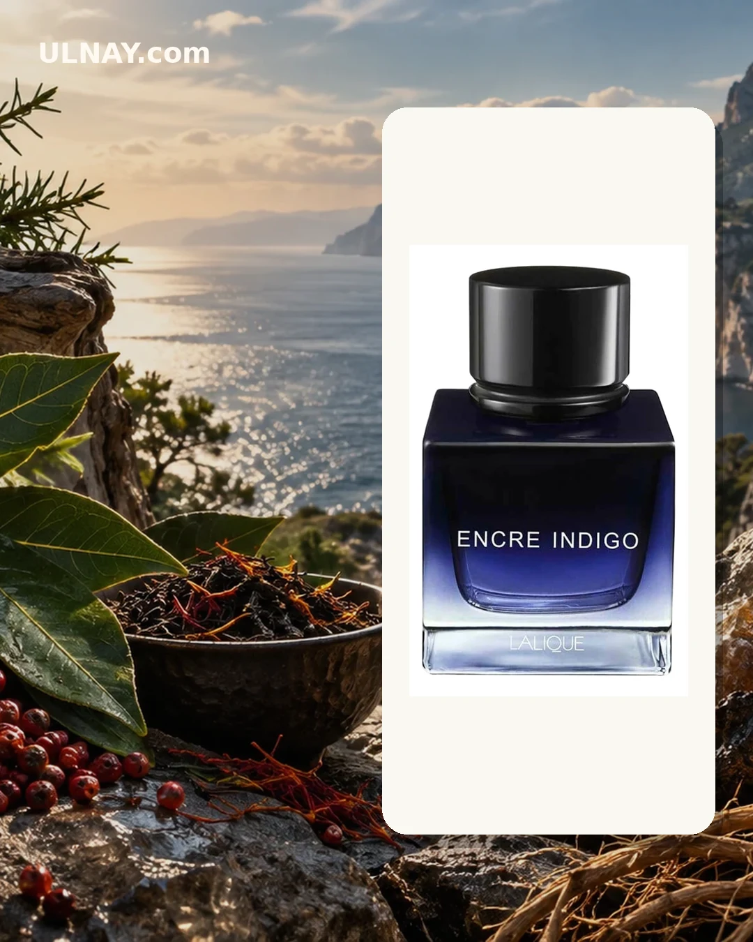 Encre Indigo — setting and bottle