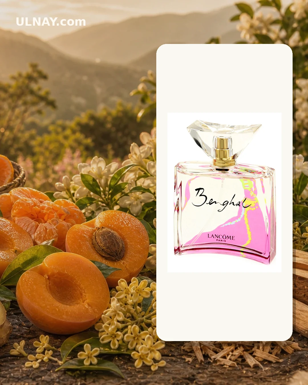 Benghal — setting and bottle