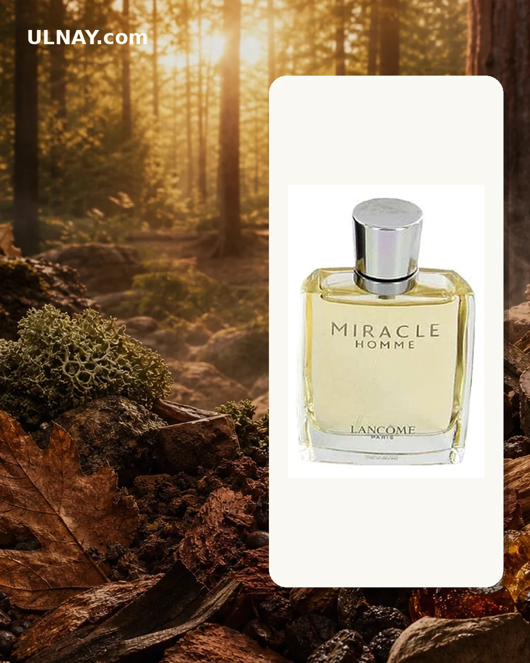 Miracle Homme — scene and bottle