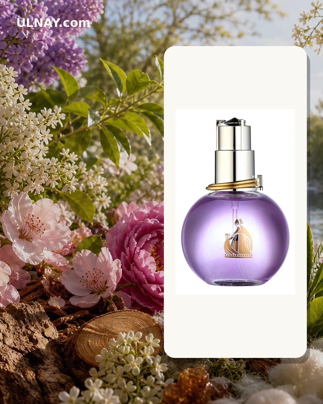 Eclat d Arpege — scene and bottle