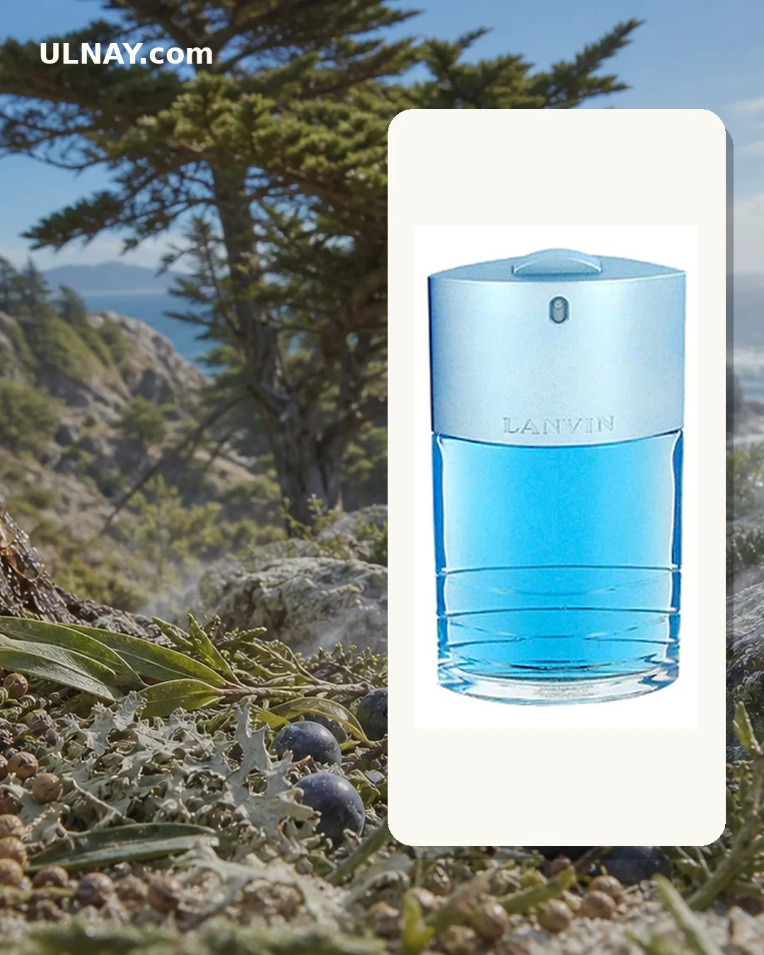 Lanvin Oxygene Homme — сцена и флакон