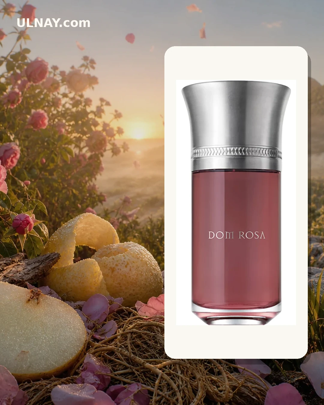 Dom Rosa — setting and bottle