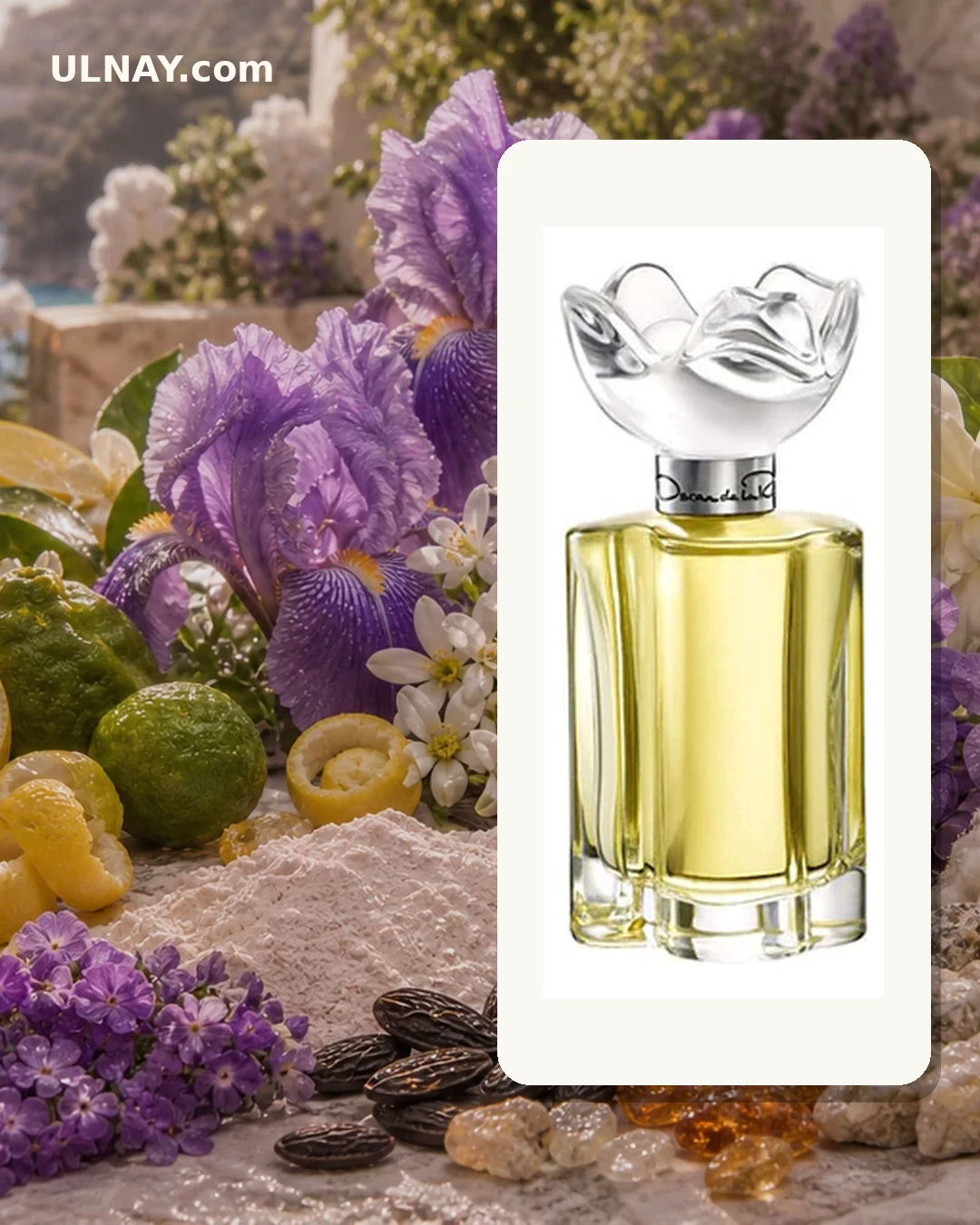 Esprit d’Oscar — setting and bottle