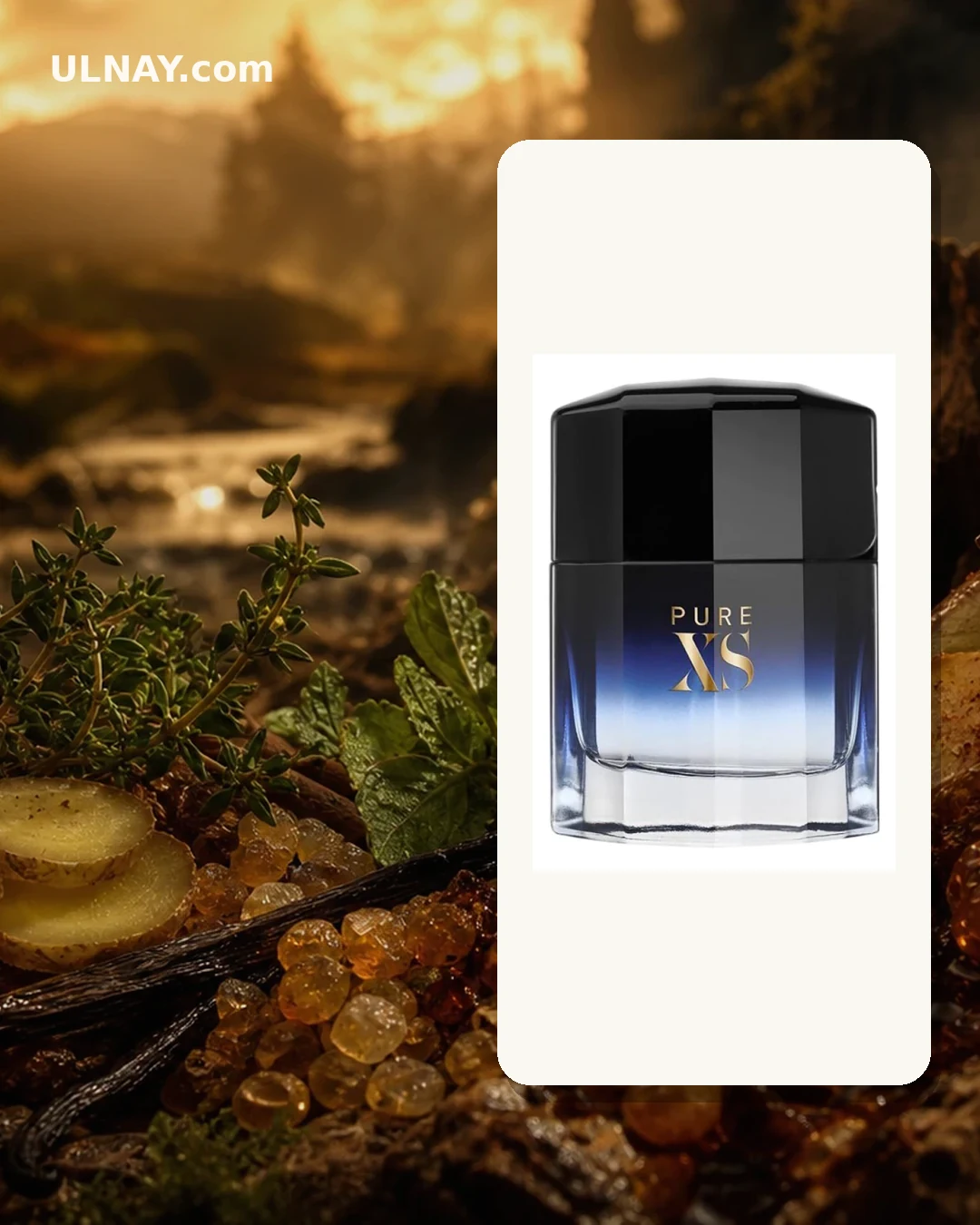 Pure XS — setting and bottle