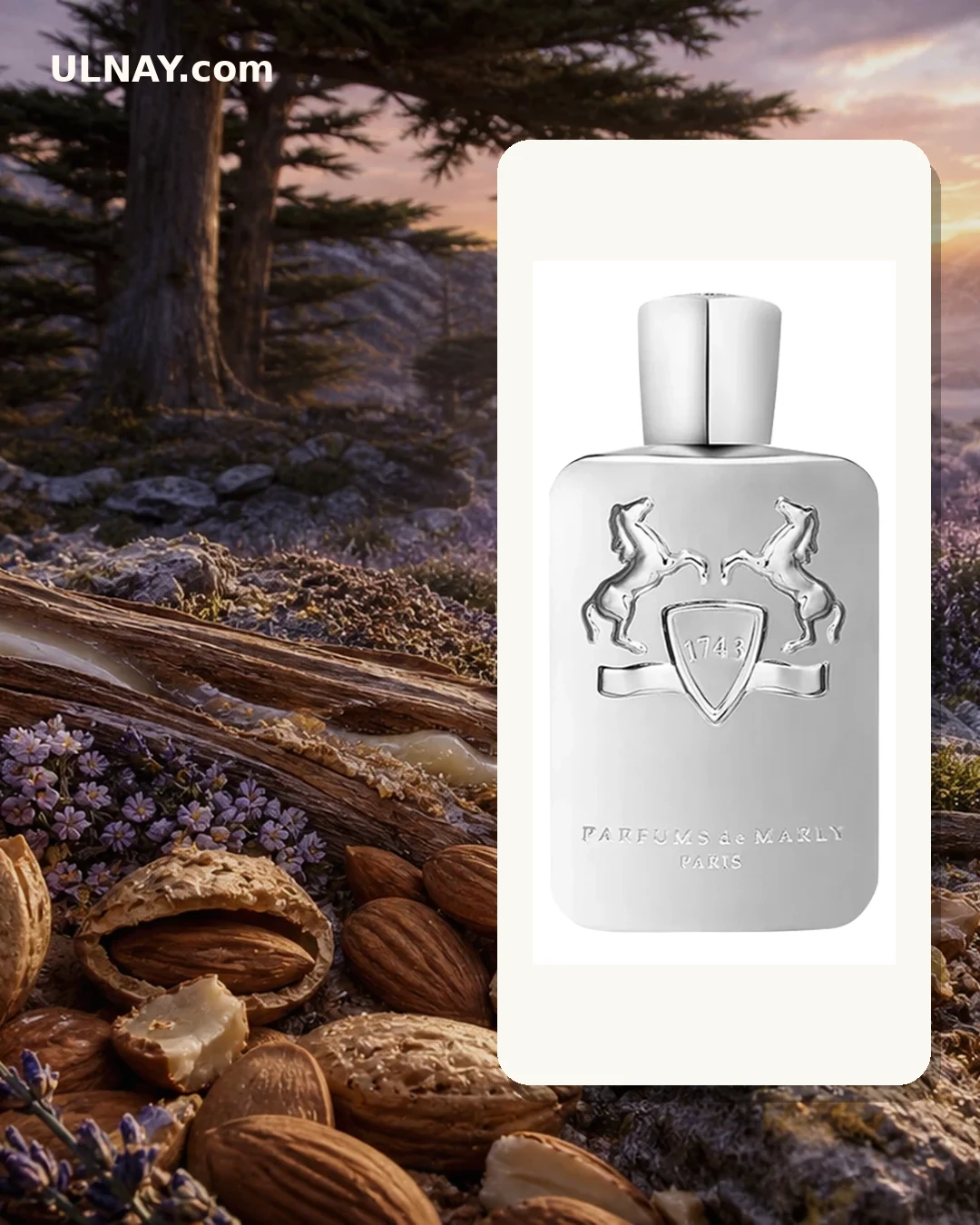 Pegasus — setting and bottle