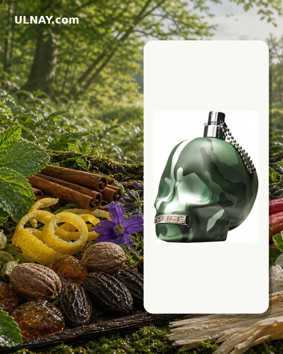To Be Camouflage — scene and bottle