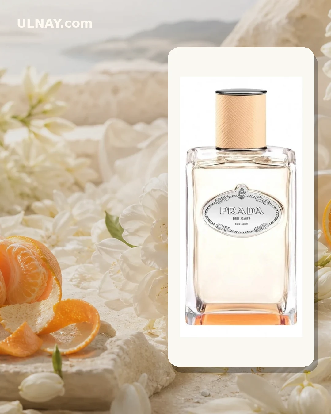 Infusion de Fleur d Oranger — scene and bottle