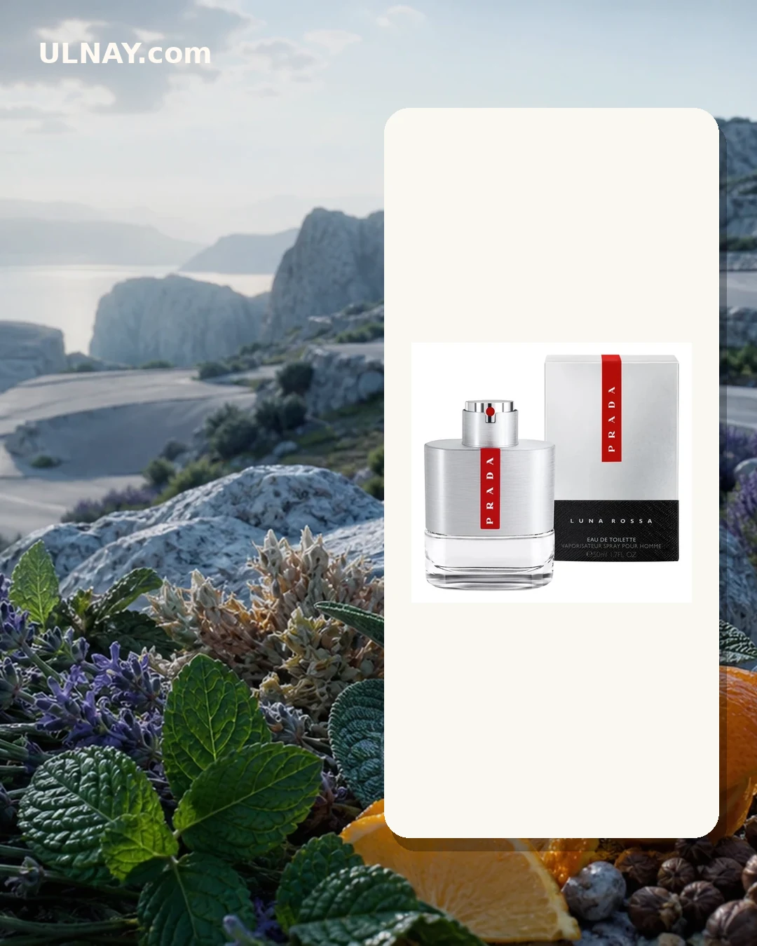Luna Rossa — scene and bottle