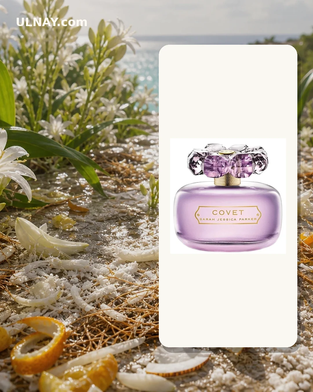 Covet Pure Bloom — setting and bottle