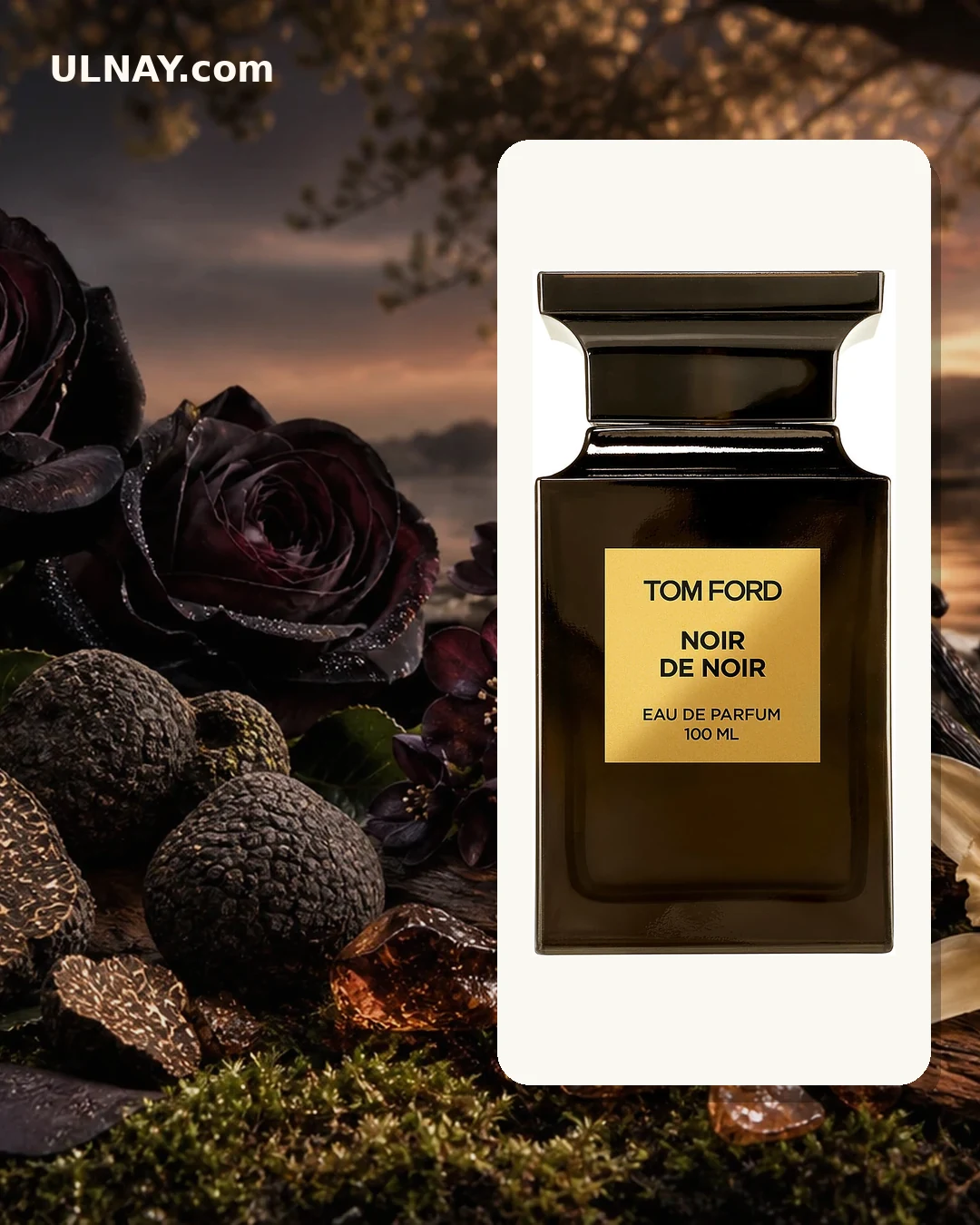 Noir de Noir — scene and bottle