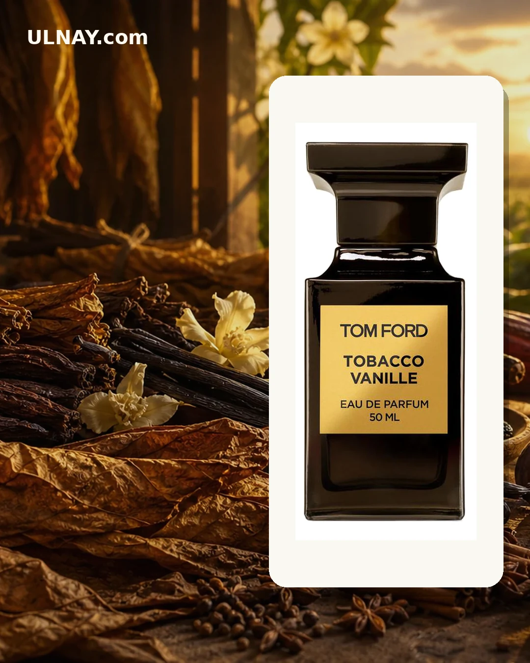 Tobacco Vanille — setting and bottle