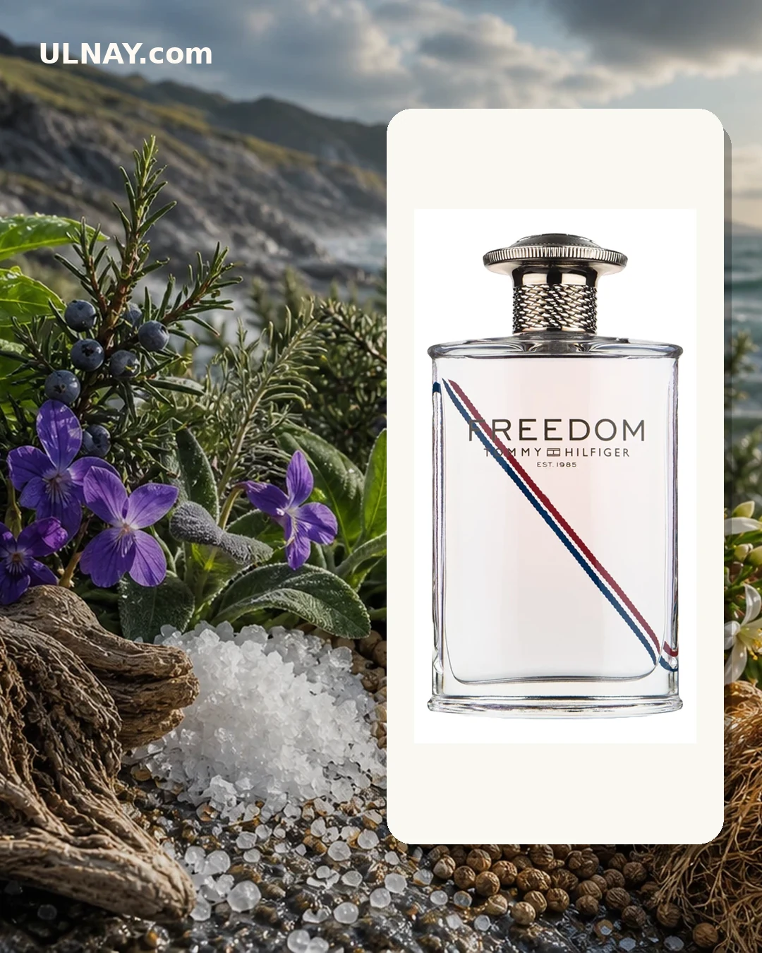 Freedom — scene and bottle