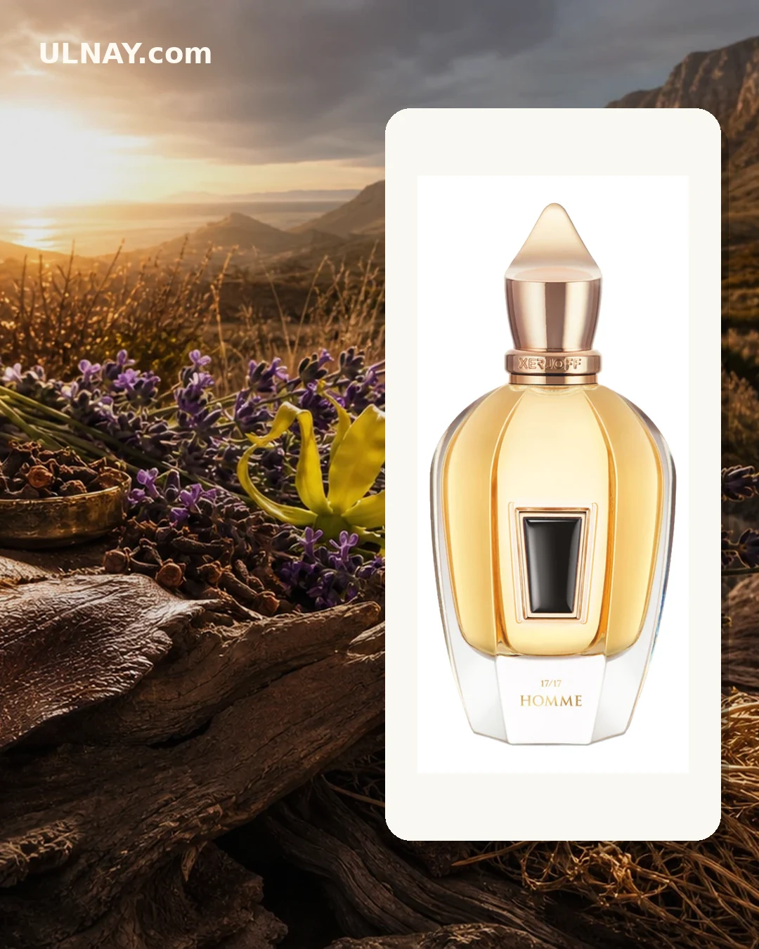 Homme — scene and bottle