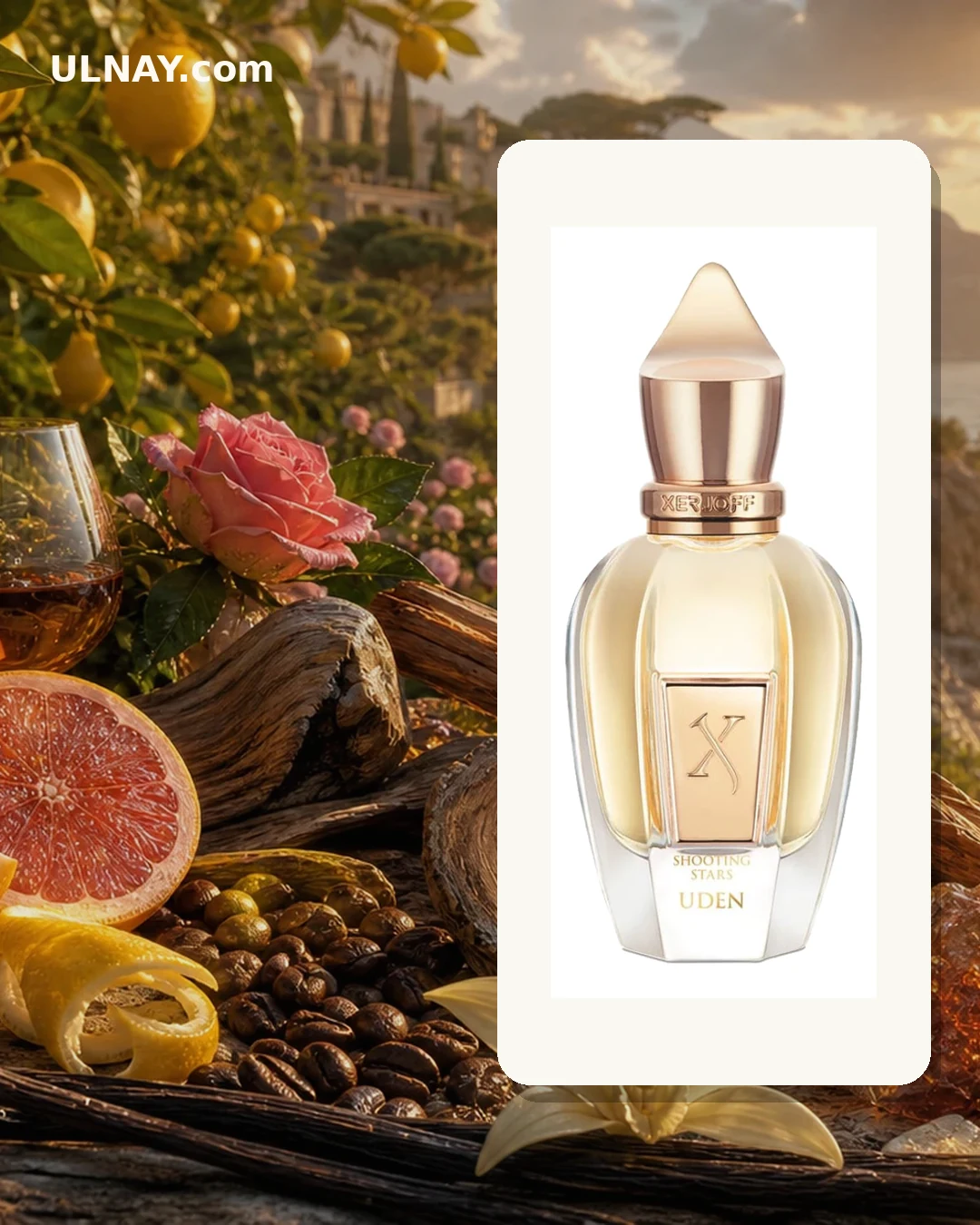 Uden — setting and bottle