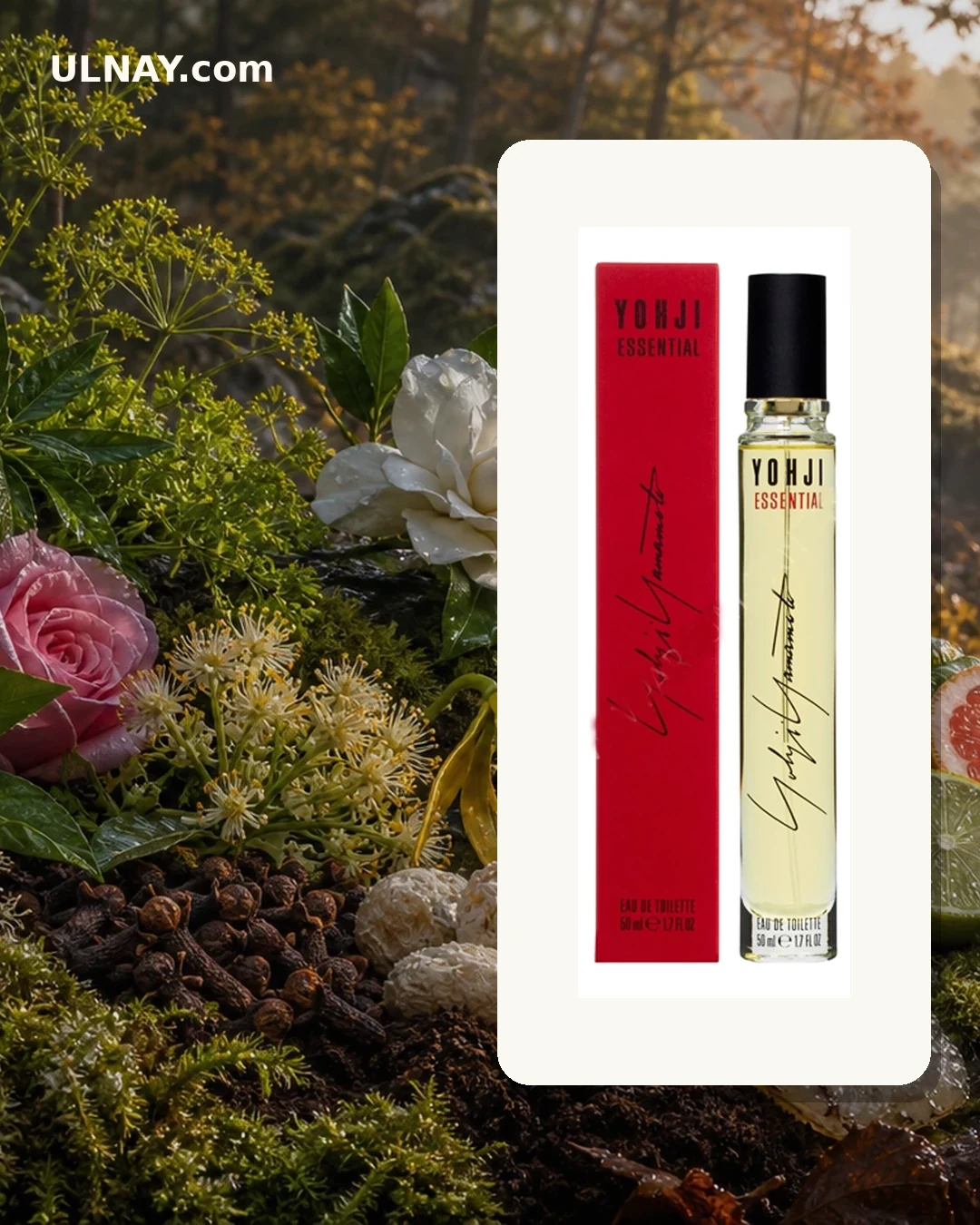 Yohji Essential — scene and bottle