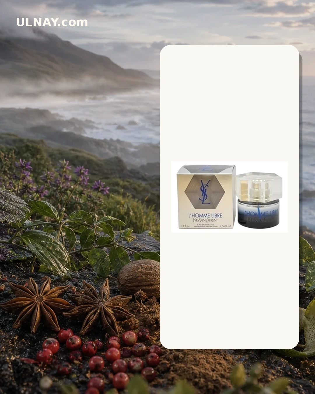 L’Homme Libre — setting and bottle