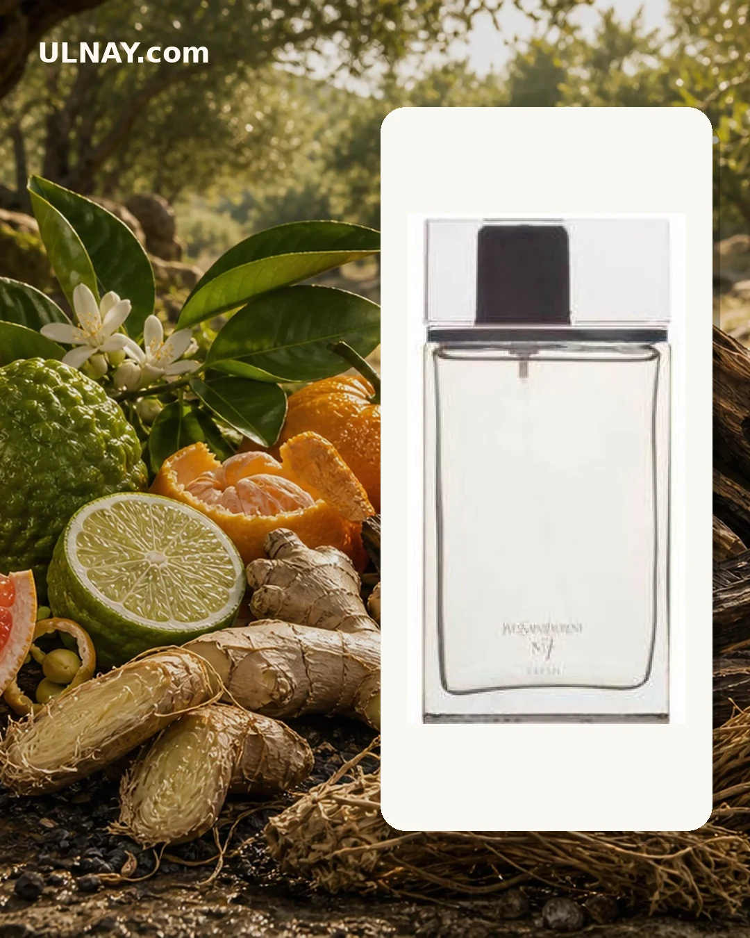 M7 Fresh — scene and bottle