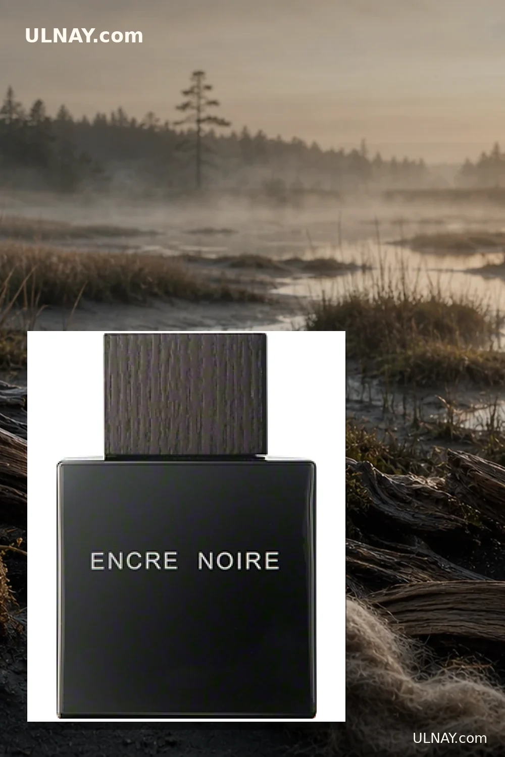 Lalique Encre Noire — сцена с настоящим флаконом
