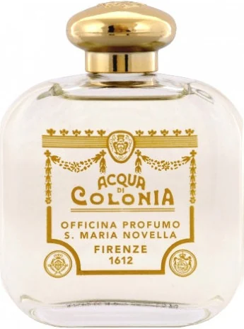 Santa Maria Novella Ginestra Broom
