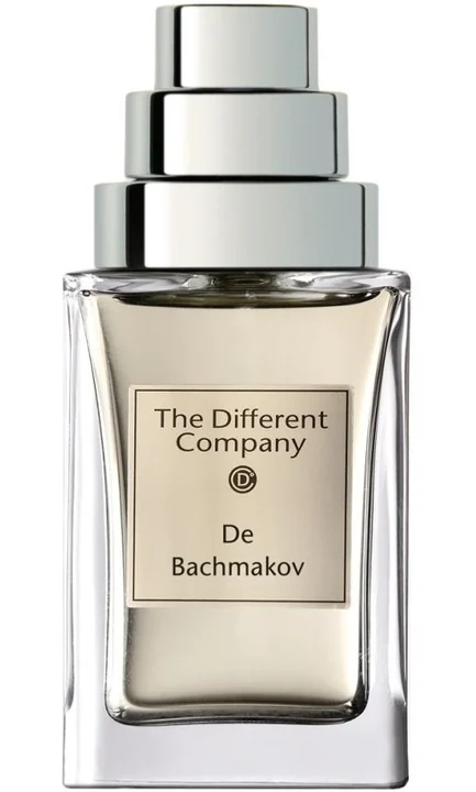 The Different Company De Bachmakov