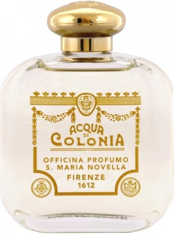 Santa Maria Novella Ginestra Broom